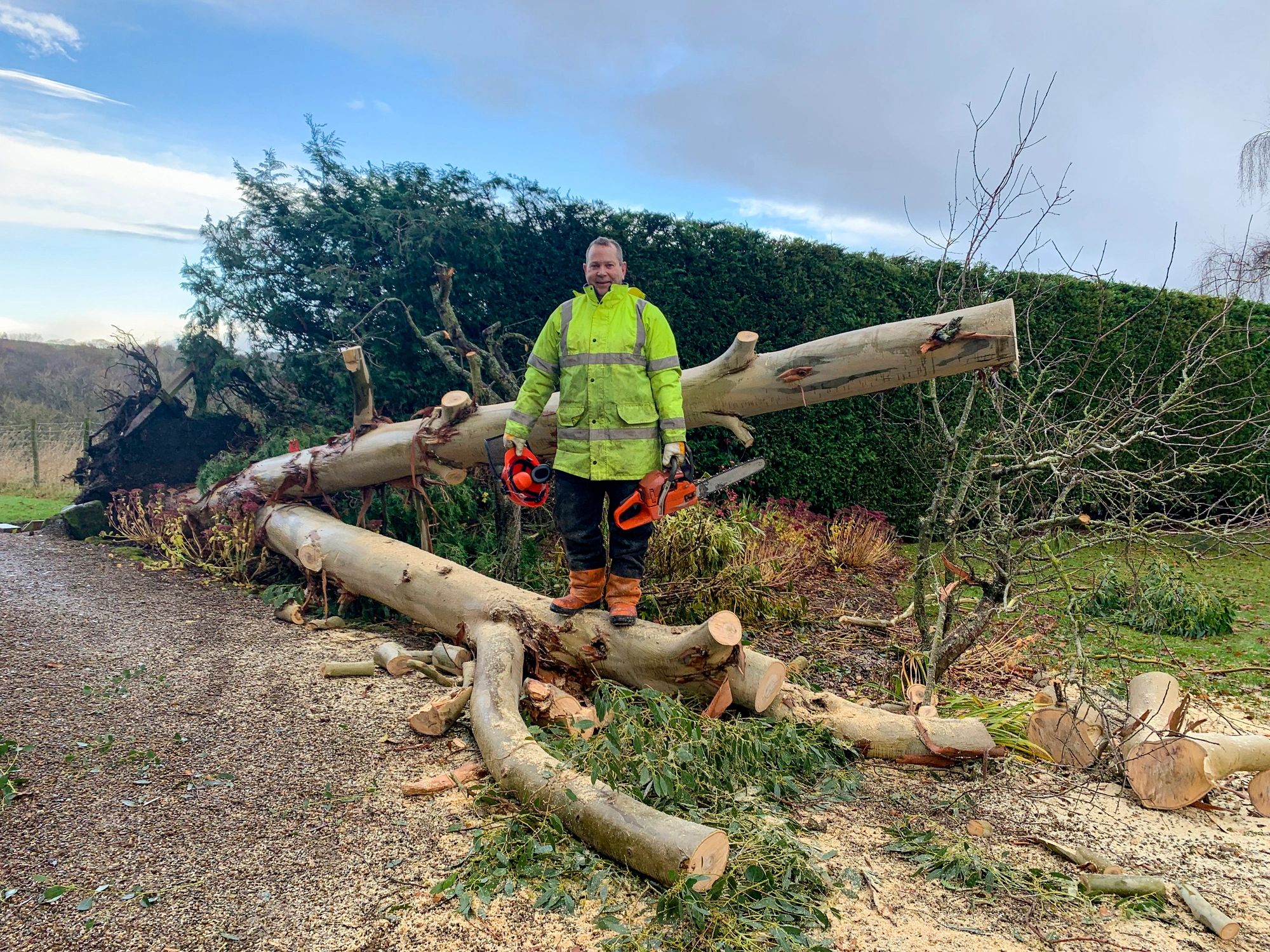 Arborist with chainsaw after completing a tree removal job