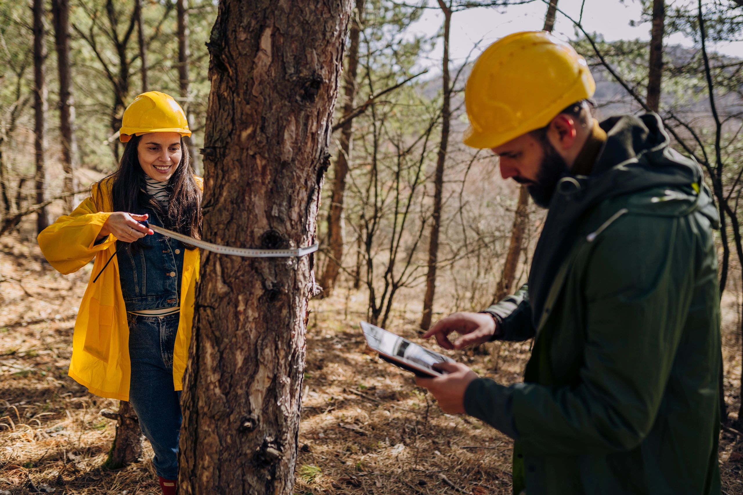 Tree service crew working together outdoors