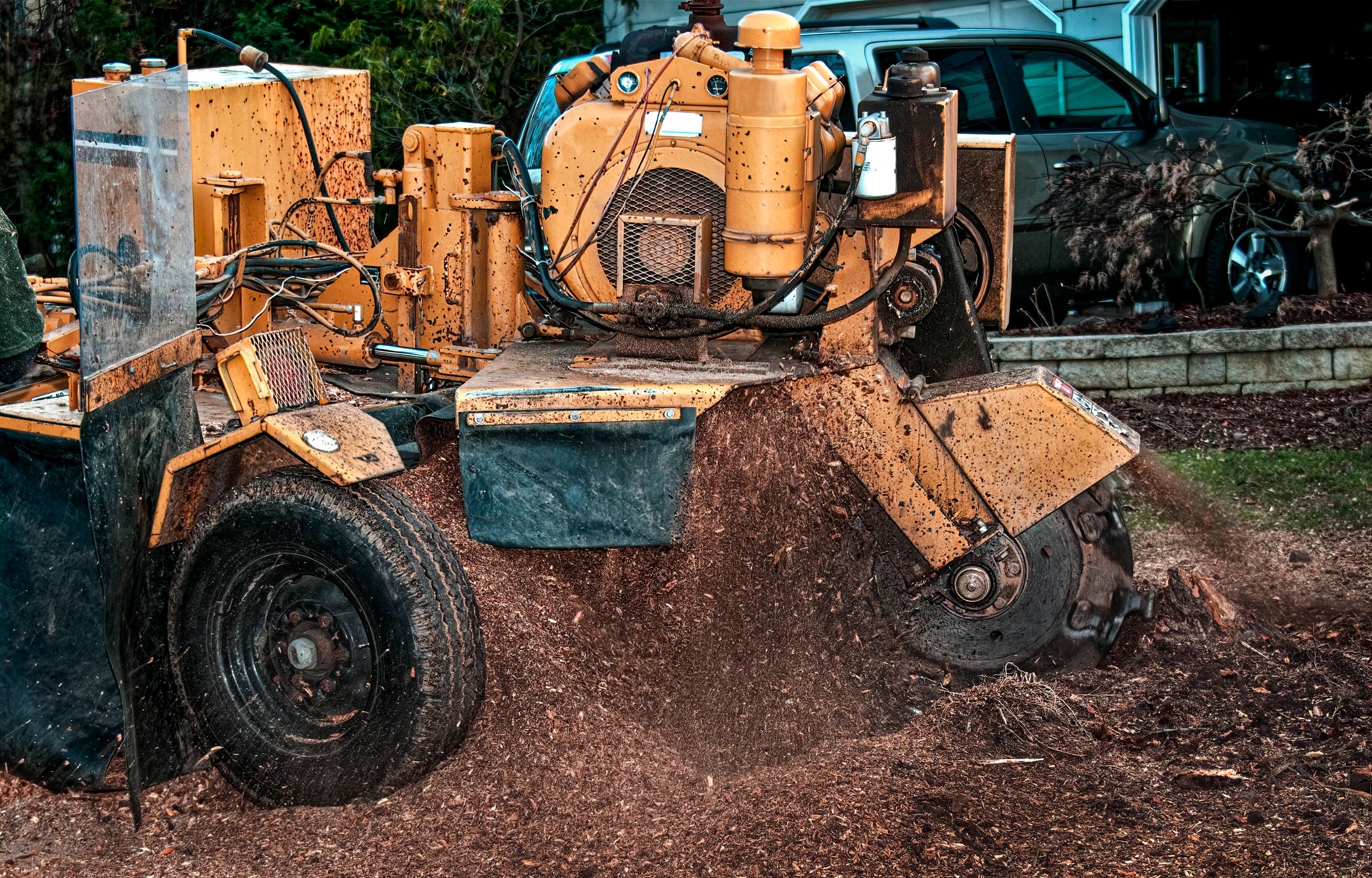 Stump grinder machine in operation